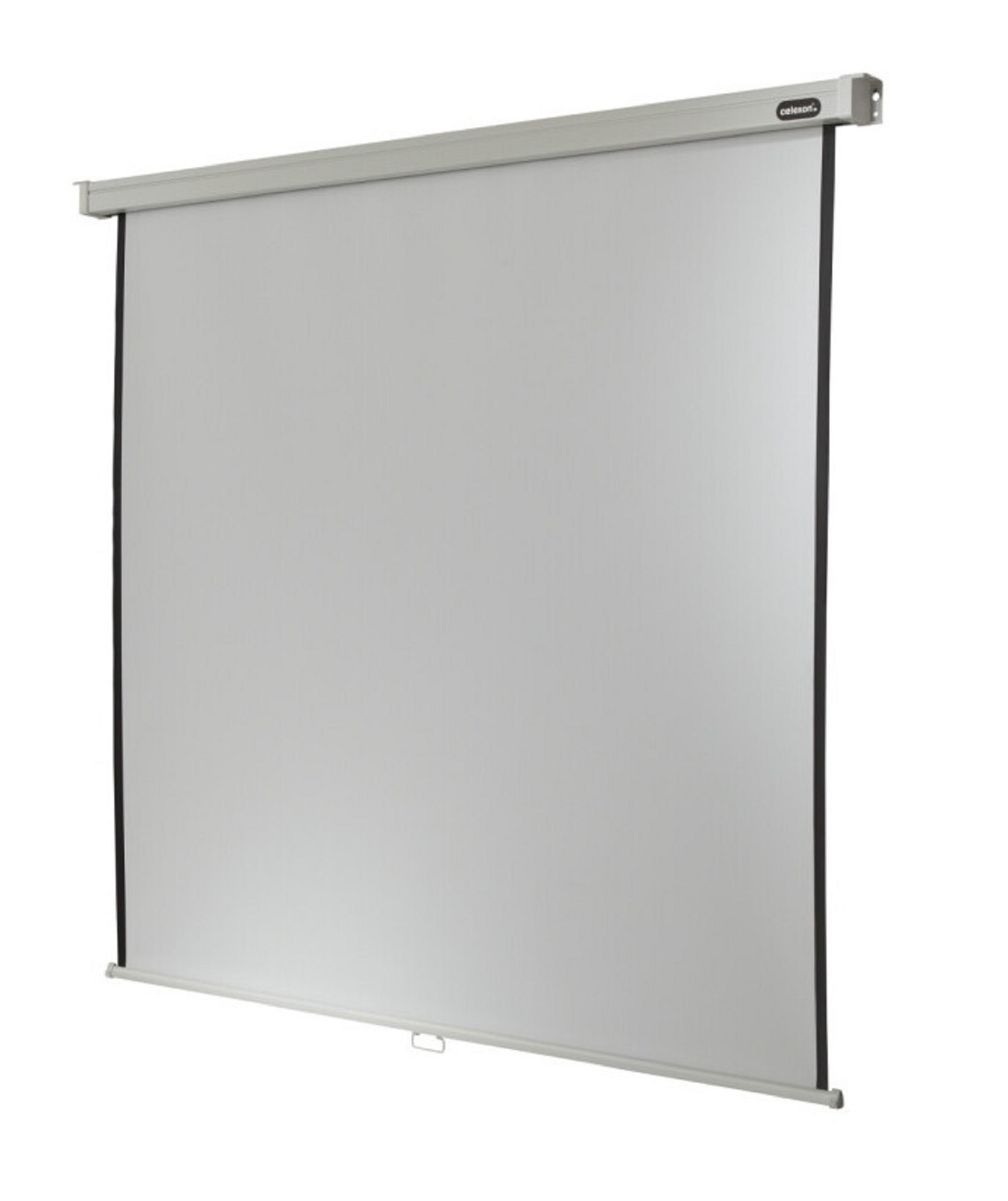 celexon, manual screen Professional, 235x235 cm